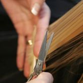 Corte
